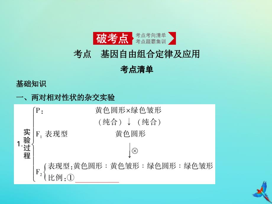 5年高考3年模拟A浙江省高考生物总复习专题12基因的自由组合定律课件.pptx_第2页