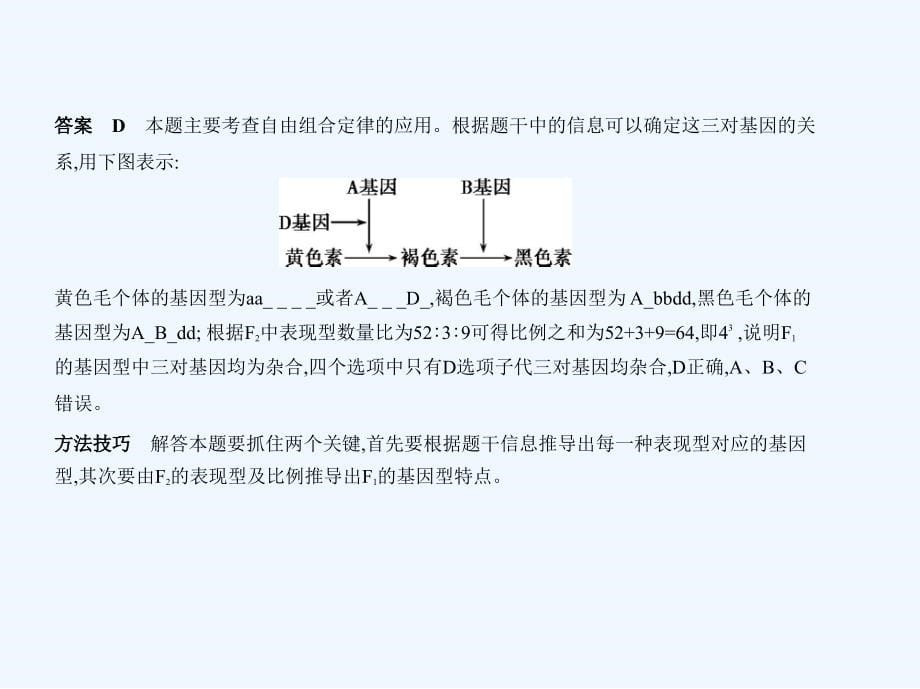 高考生物一轮复习（江苏专 B）课件：专题12　基因的自由组合定律 .ppt_第5页