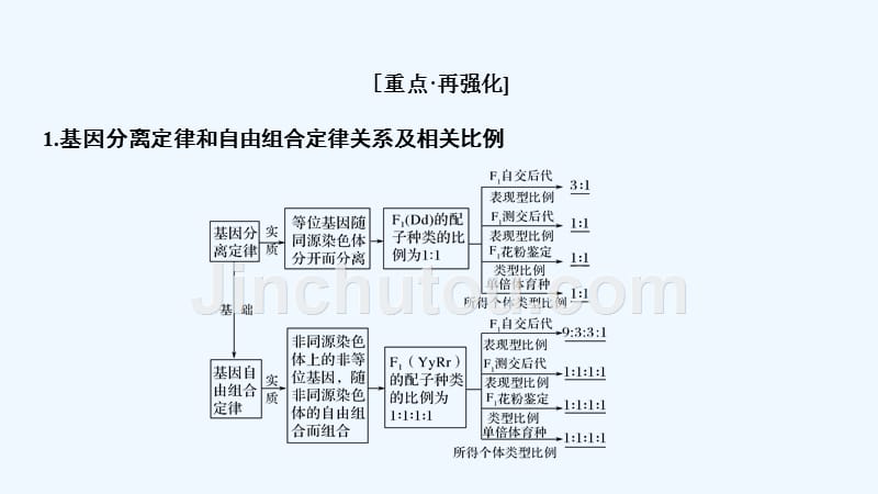 高考生物一轮复习苏教课件：必修二 第五单元 遗传的基本规律阶段排查 回扣落实（四） .ppt_第5页