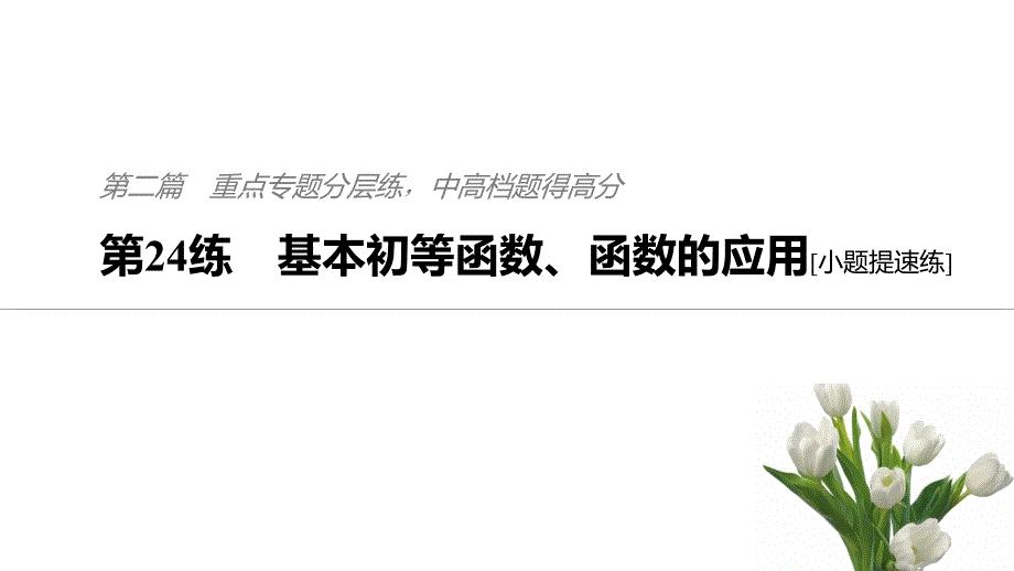 高考数学（文）通用二轮精准课件：第二篇 第24练 基本初等函数、函数的应用 .pptx_第1页