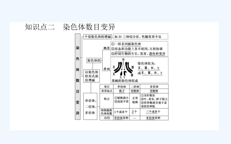 高考生物人教新金典大一轮课件：课前自主预习案2.3.2染色体变异及育种 .ppt_第3页