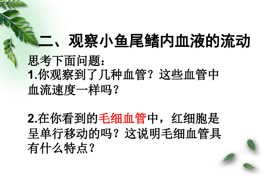 七年级生物下册4.4.2血流的管道__血管课件新新人教.ppt_第4页