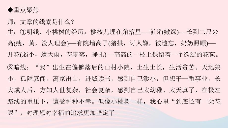 七年级语文下册第五单元18一棵小桃树习题课件新人教.ppt_第4页