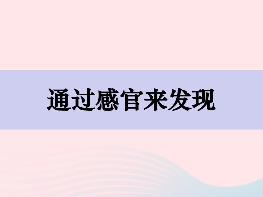 二年级科学下册我们自己2通过感官来发现课件教科.pptx_第1页