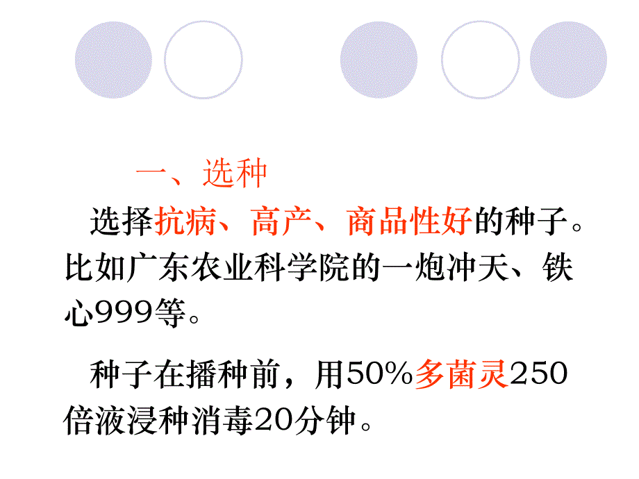 黑皮冬瓜高产种植技术与病虫害防治_第1页