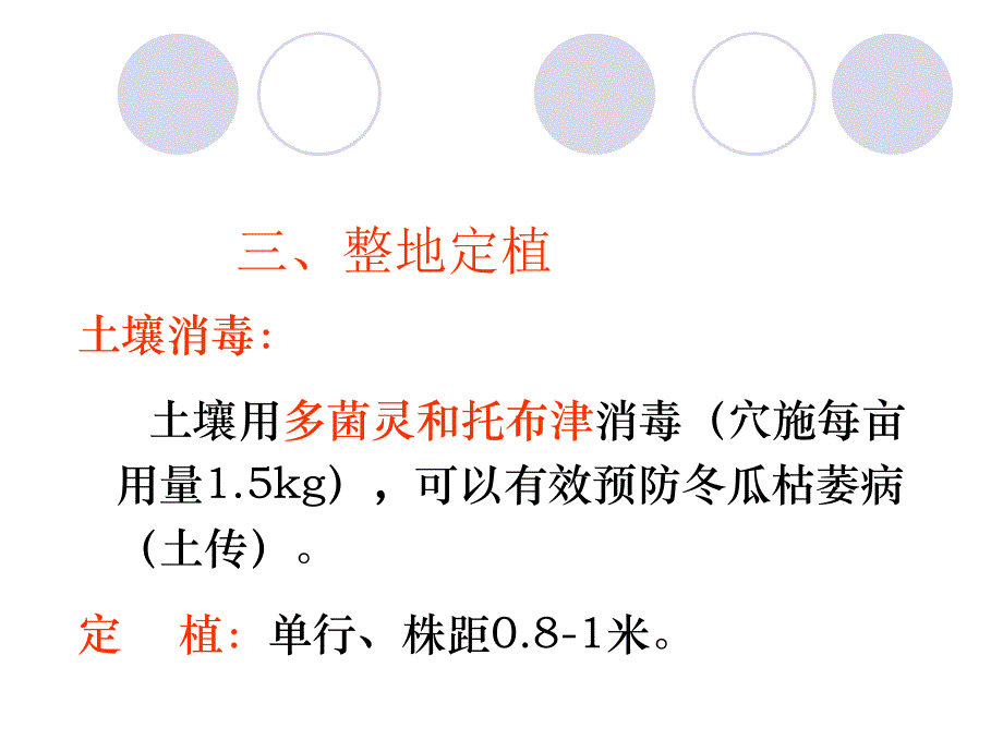 黑皮冬瓜高产种植技术与病虫害防治_第4页