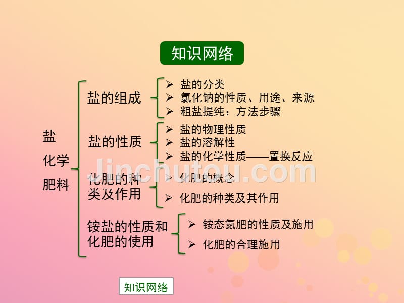 九年级化学下册专题七初识酸碱和盐单元3盐化学肥料复习课件新湘教.pptx_第2页