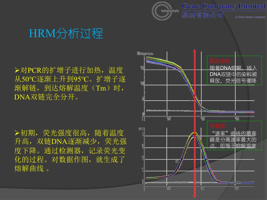 HRM应用实验设计与结果分析报告_第4页