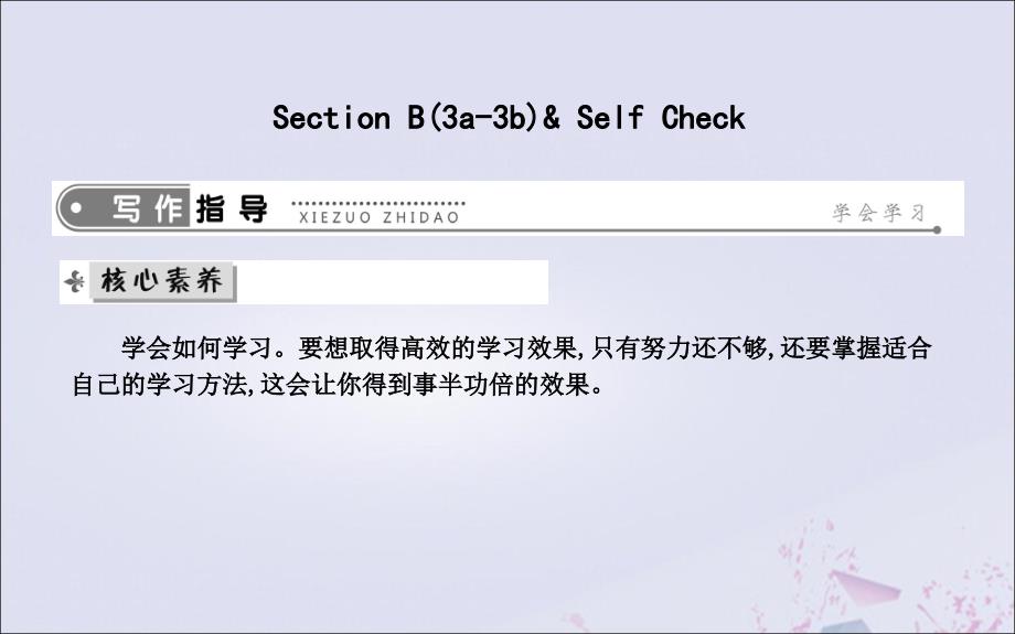 九年级英语全册Unit1HowcanwebecomegoodlearnersSectionB（3a_3b）.ppt_第1页