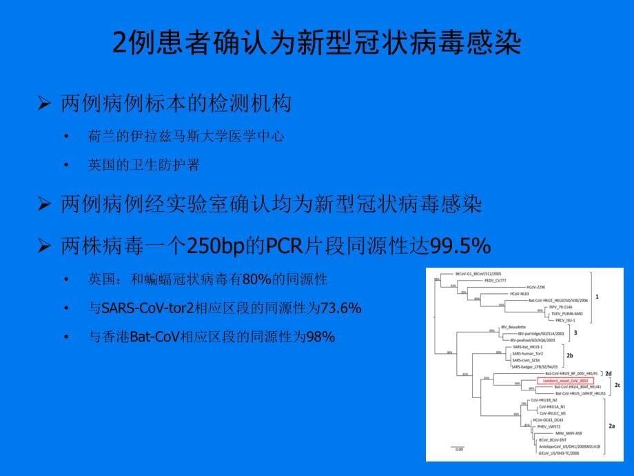 新型冠状病毒疫情与当前应对工作（中东）_第5页