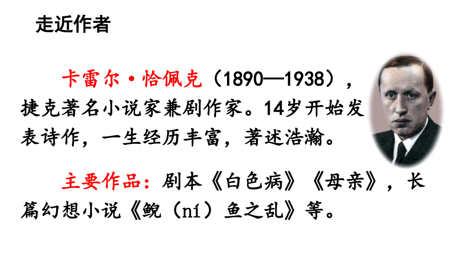 【新统编人教版】小学五年级下语文19《牧场之国》优质课教学课件_第2页