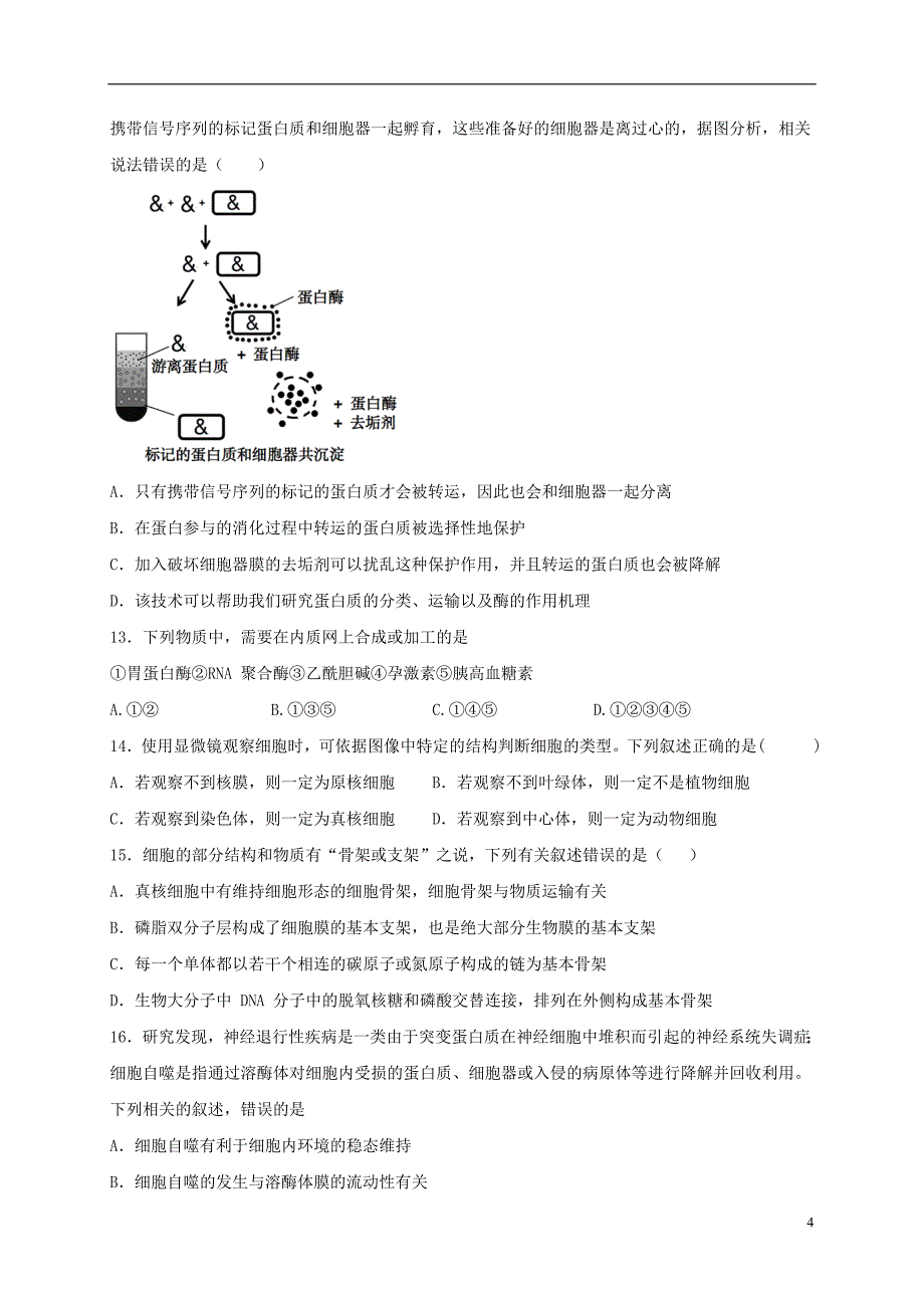 河南省鹤壁市高级中学2019_2020学年高一生物上学期第五次双周练试题_第4页