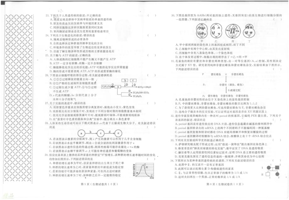 辽宁省大连市2020届高三生物上学期双基测试试题_第3页