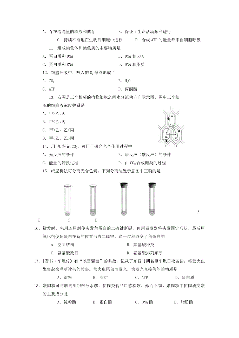 北京市西城区高一生物上学期期末考试试题.doc_第2页