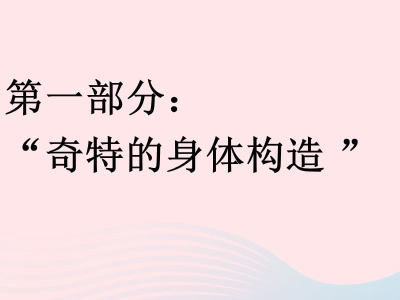 六年级科学下册第一单元微小世界2放大镜下的昆虫世界课件3教科.ppt_第5页