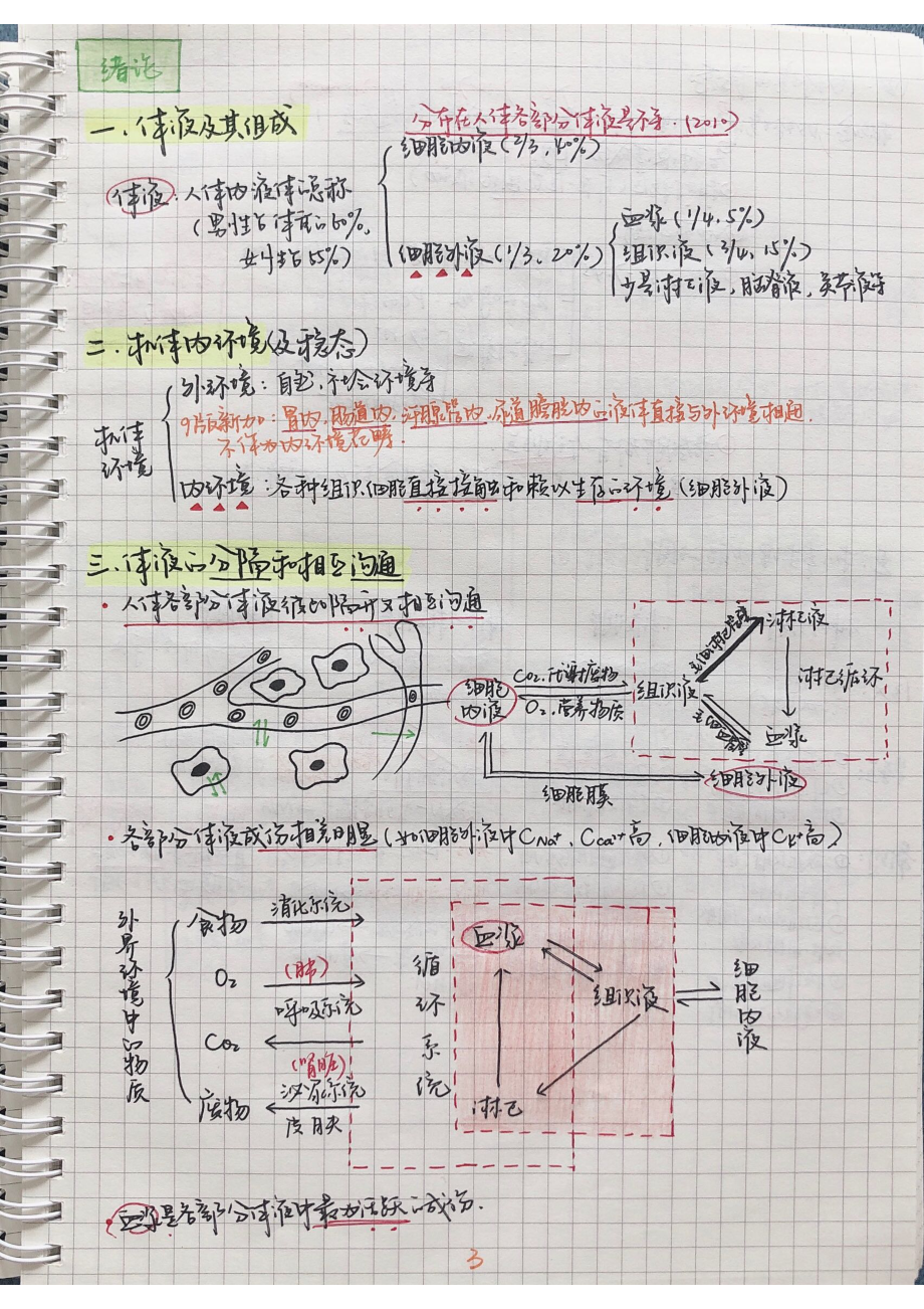 生理学笔记手写_第2页