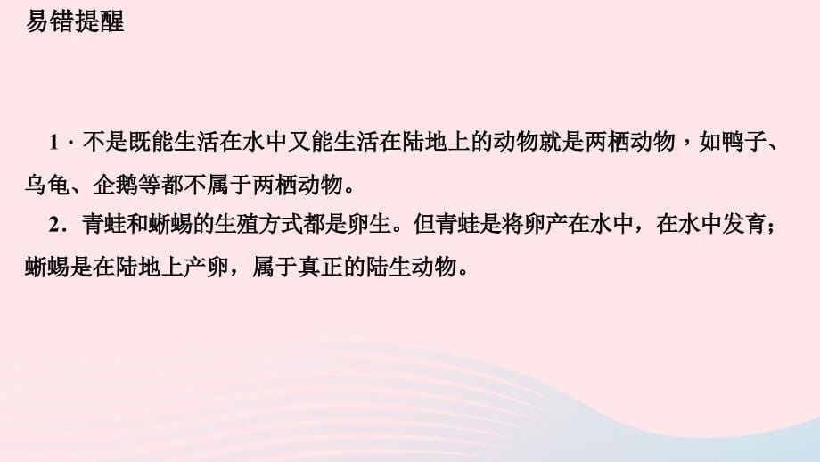 八年级生物上册第五单元第一章第五节两栖动物和爬行动物习题课件（新版）新人教版.ppt_第5页