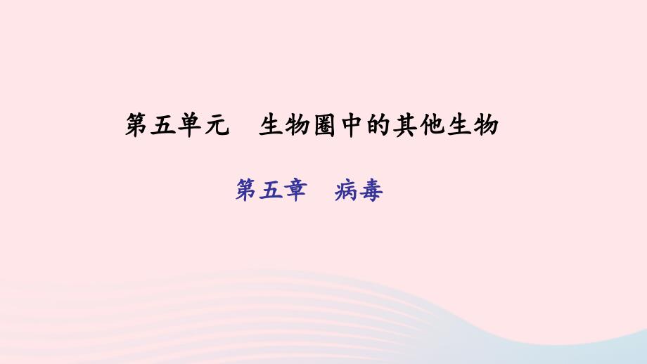 八年级生物上册第五单元第五章病毒习题课件（新版）新人教版.ppt_第1页