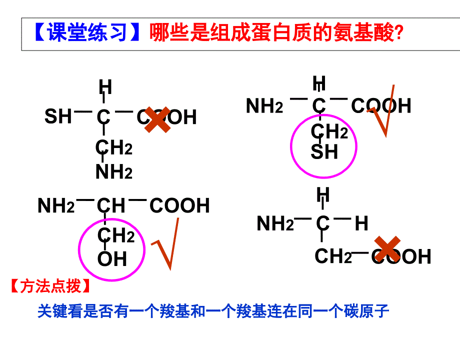 人教版高中生物必修1 第2章第2节生命活动的主要承担者—蛋白质（课件）.ppt_第3页