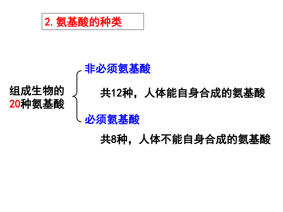 人教版高中生物必修1 第2章第2节生命活动的主要承担者—蛋白质（课件）.ppt_第4页