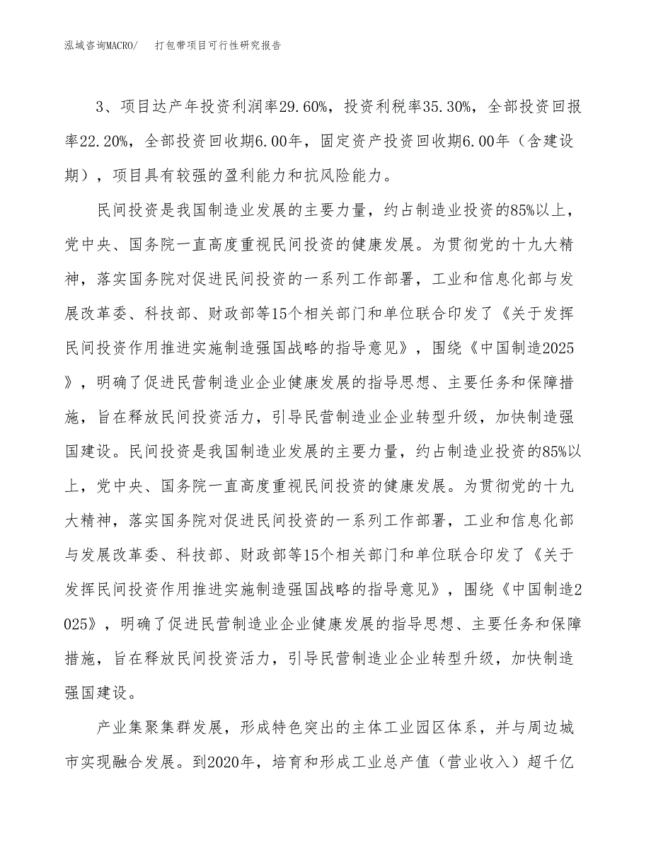 打包带项目可行性研究报告（参考立项模板）.docx_第4页