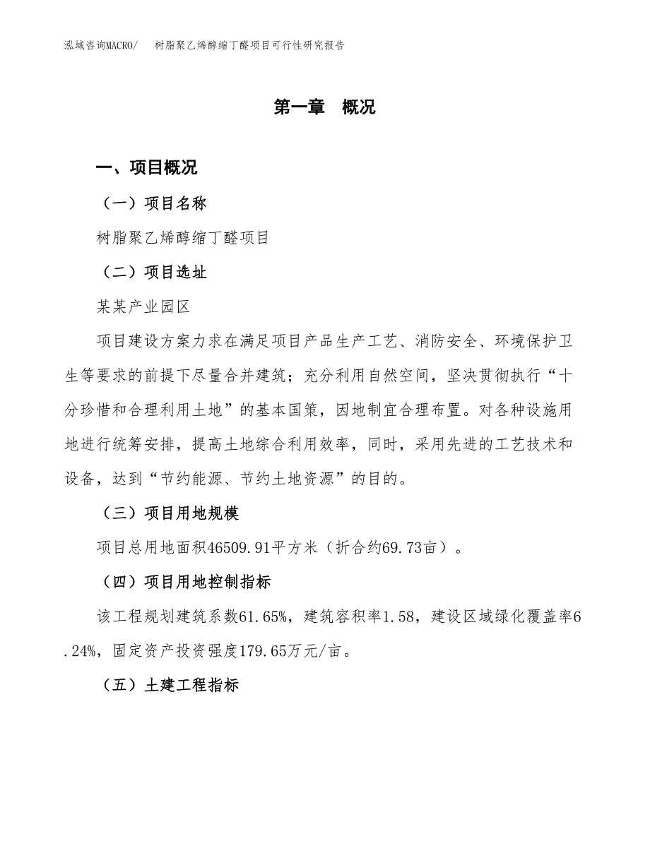 树脂聚乙烯醇缩丁醛项目可行性研究报告（参考立项模板）.docx_第1页