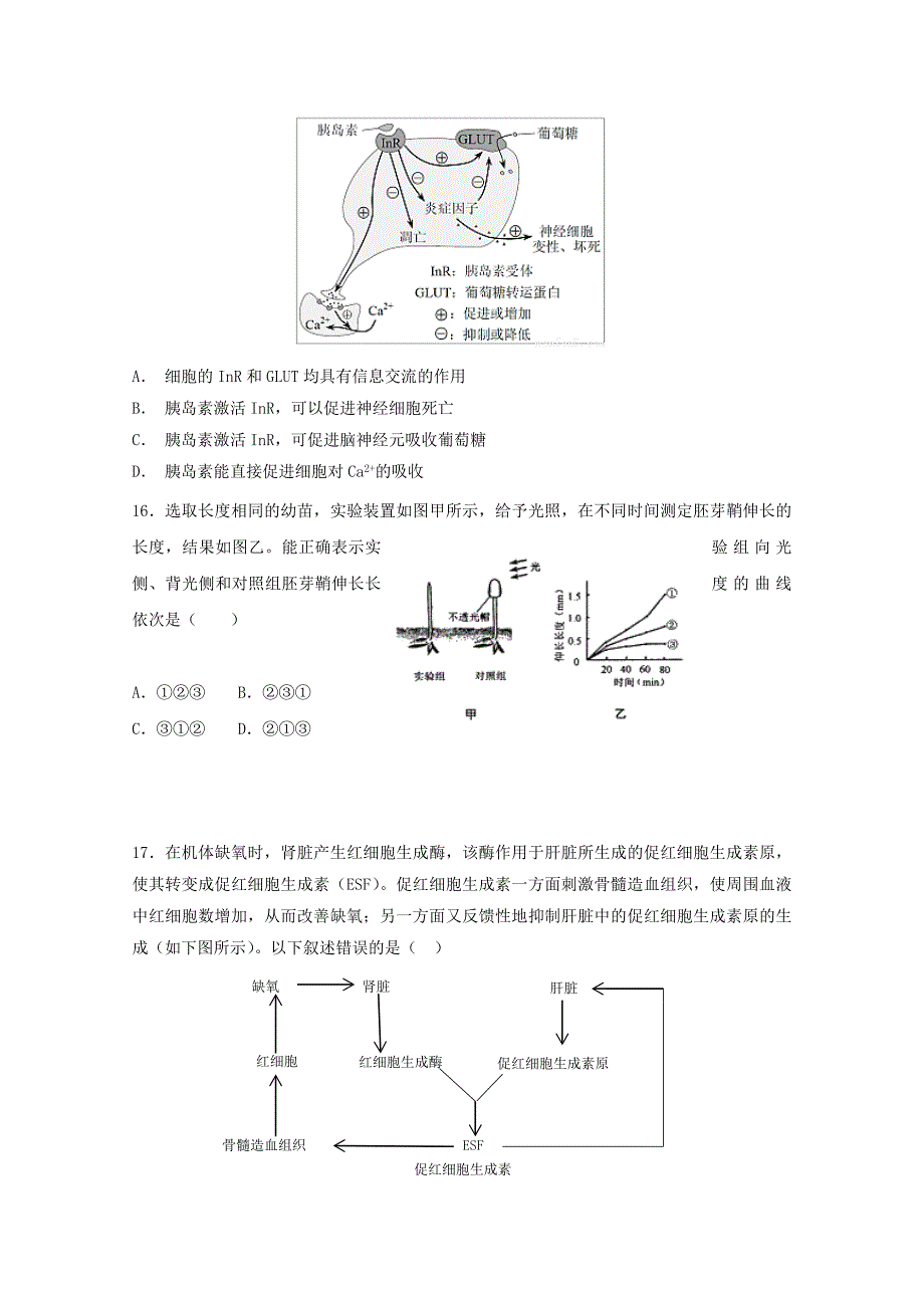 安徽省郎溪中学高二生物上学期期末模拟考试试题（直升部无答案）.doc_第4页