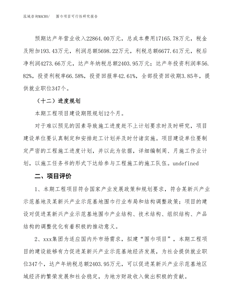 围巾项目可行性研究报告（参考立项模板）.docx_第3页