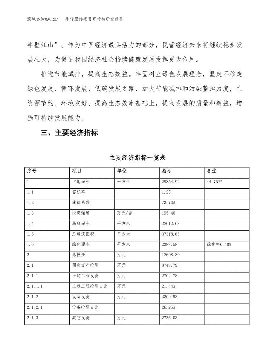 牛仔服饰项目可行性研究报告（参考立项模板）.docx_第5页