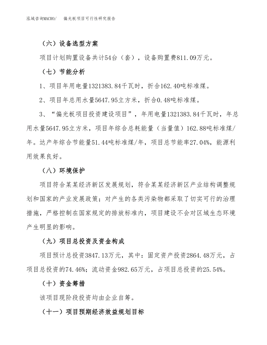 偏光板项目可行性研究报告（参考立项模板）.docx_第2页