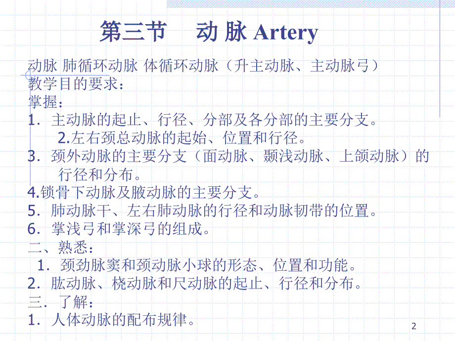 《人体解剖学》课件28、29动 脉 Artery_第2页