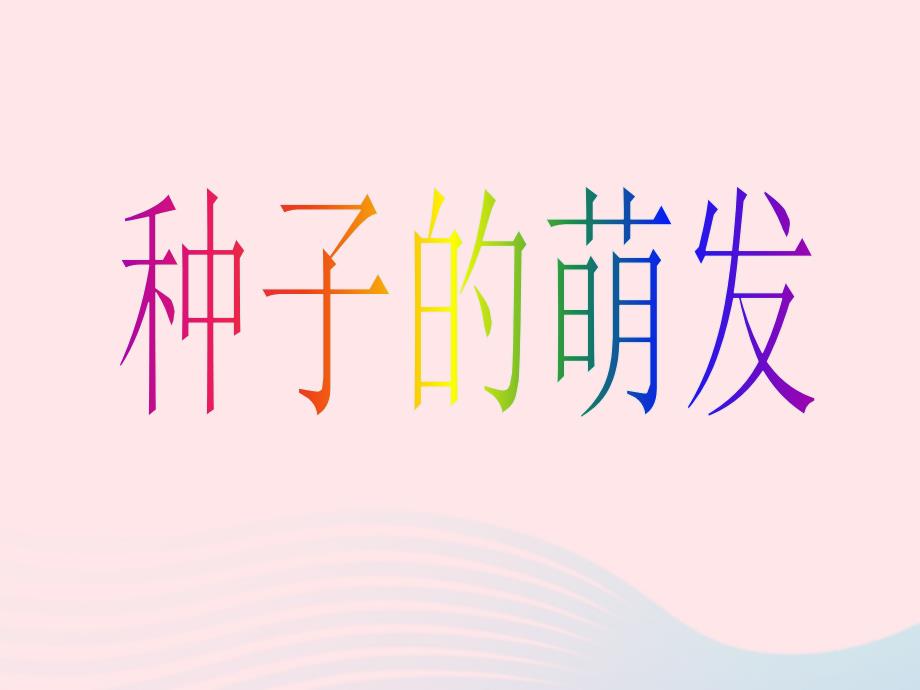 四年级科学下册2新的生命5种子的萌发课件1教科.ppt_第3页