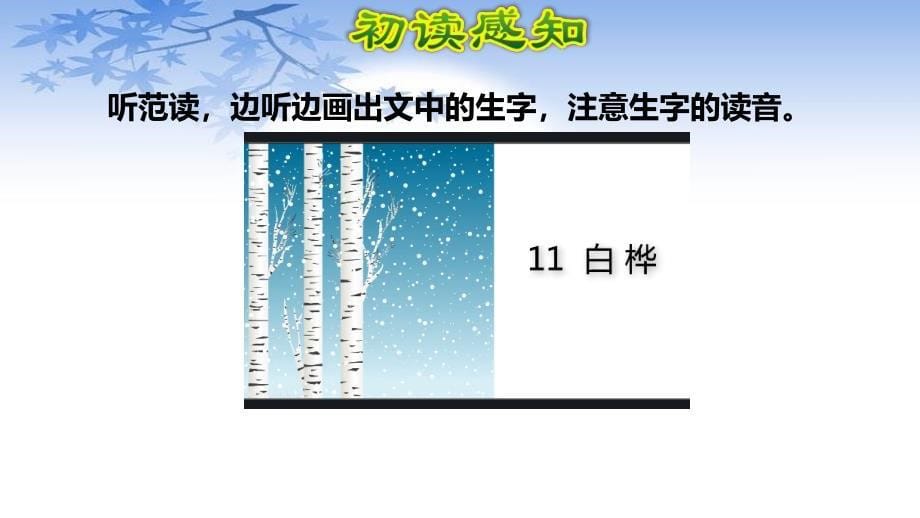 部编人教版六年级语文下册11.白桦课件_第5页