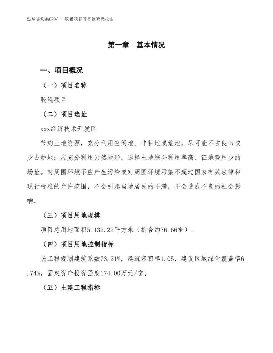 胶辊项目可行性研究报告（参考立项模板）.docx_第1页