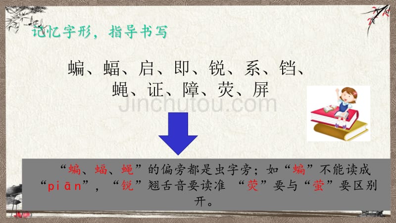 部编人教版四年级上册语文 6 蝙蝠和雷达 PPT课件 (3)_第3页