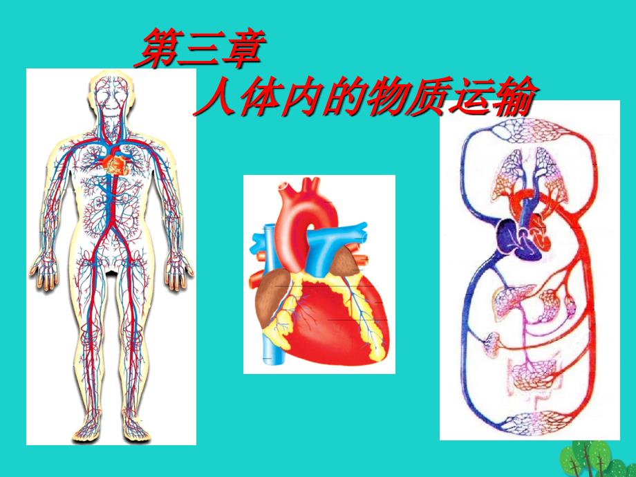 山东省邹平县实验中学七年级生物下册 第三章 人体内的物质运输课件 （新版）济南版_第1页