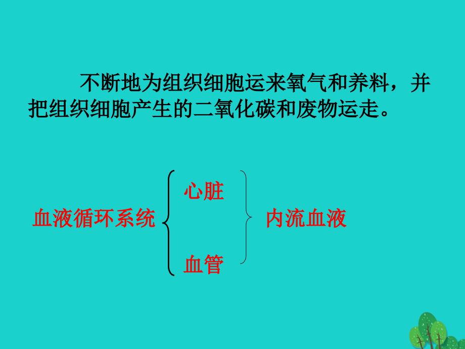 山东省邹平县实验中学七年级生物下册 第三章 人体内的物质运输课件 （新版）济南版_第2页