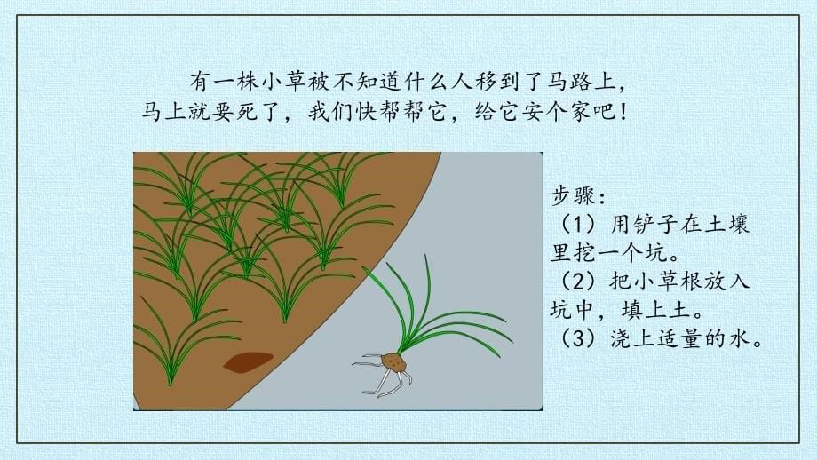 二年级下册科学课件- 8 给小草安个家 -冀人版(共12张PPT)_第5页