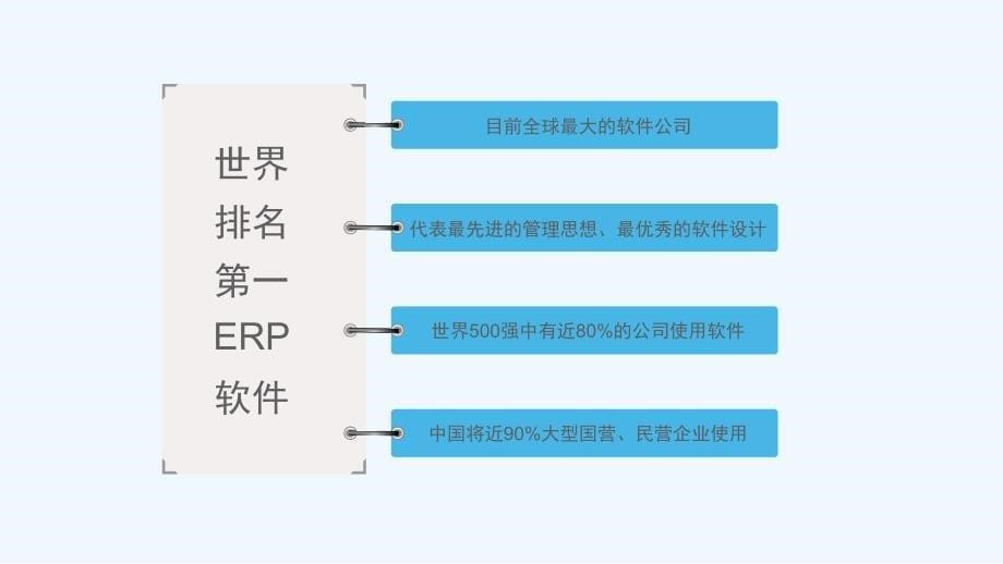 SAPERP系统销售方案_第5页