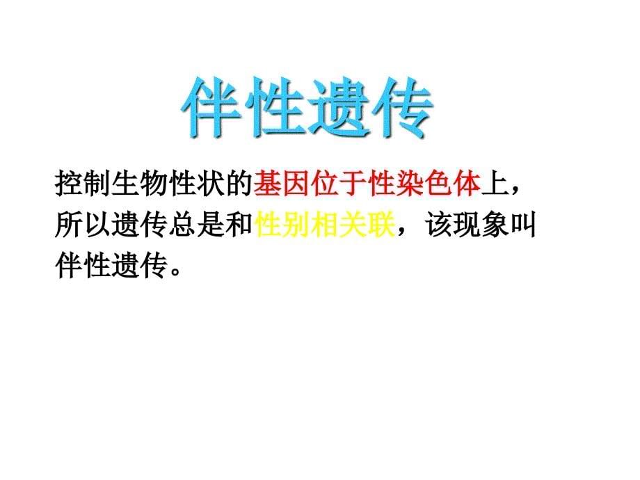 辽宁省抚顺市人教版高中生物必修二课件：第2章 第三节 伴性遗传.ppt_第5页