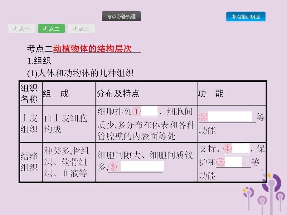 课标通用甘肃省中考生物总复习第二单元生物体的结构层次第四讲细胞怎样构成生物体课件.pptx_第5页