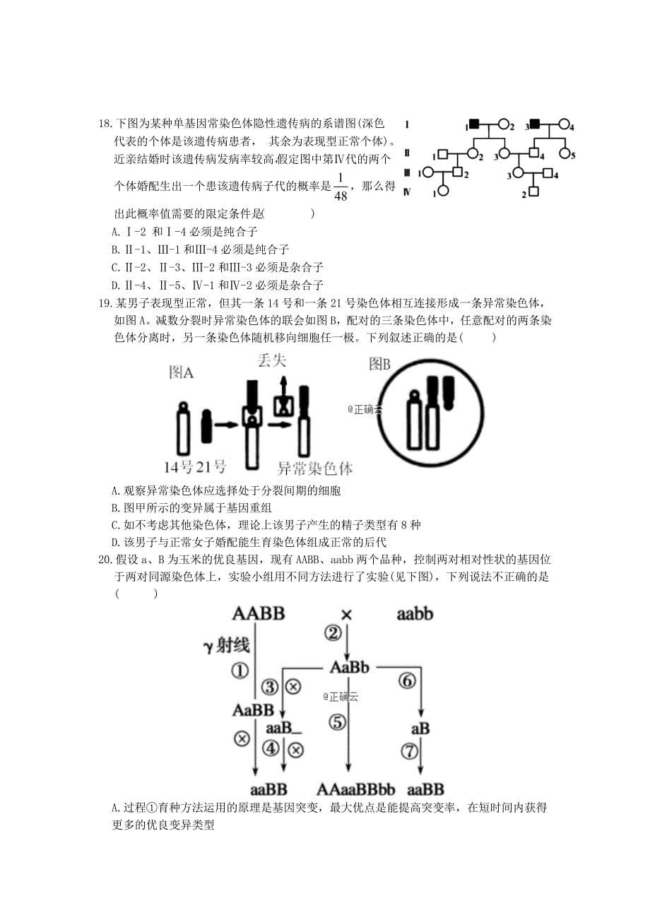 江西省上饶市高二生物下学期期中试题（10_19班）.doc_第5页