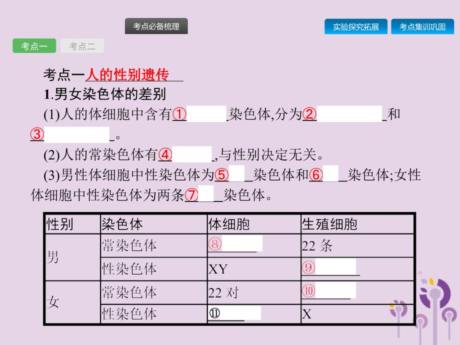 课标通用甘肃省中考生物总复习第七单元生物圈中生命的延续和发展第二十二讲生物的遗传和变异(二)课件.pptx_第2页