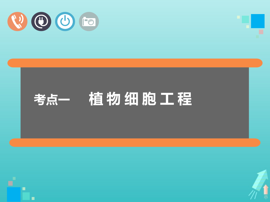 通用版高考生物一轮复习第十三单元第二讲细胞工程课件.ppt_第2页