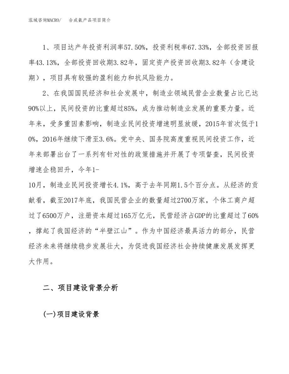 合成氨产品项目简介(立项备案申请).docx_第5页