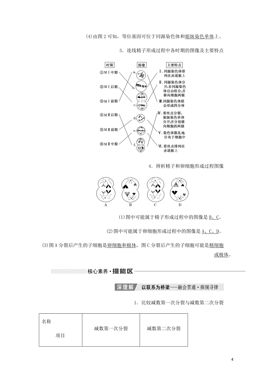 新课改瘦专用高考生物一轮复习第四单元第三讲减数分裂与受精作用讲义含解析.doc_第4页