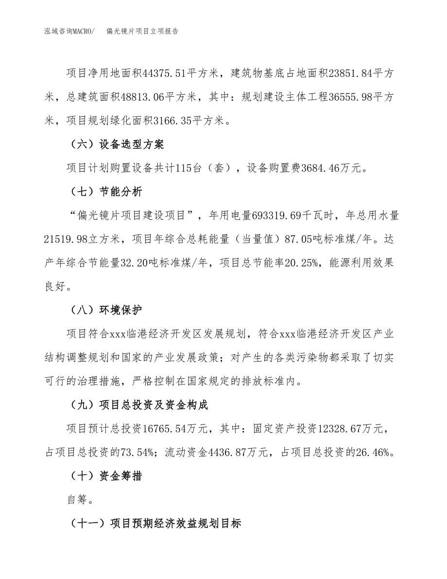 偏光镜片项目立项报告.docx_第5页