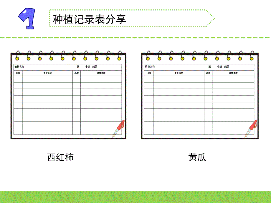 最新2020年苏教版小学科学三年级下册第一单元《4.植物结果了》教学课件PPT_第2页