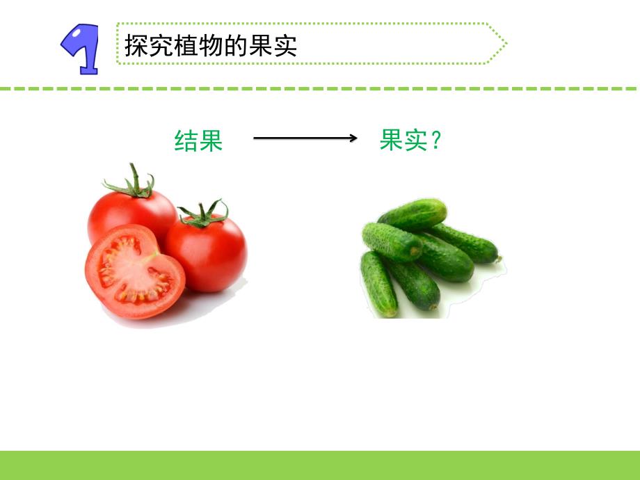 最新2020年苏教版小学科学三年级下册第一单元《4.植物结果了》教学课件PPT_第4页