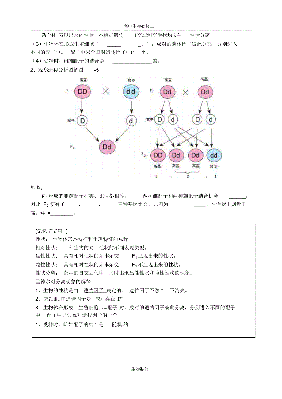 全册教案：人教版教学教案高中生物新课标人教版必修2全册课堂最新导学案全集(1-3)_第3页